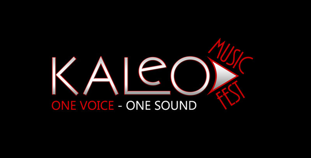 Music Festival logo design