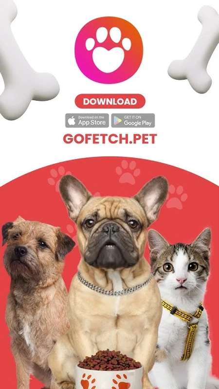 🐾 Why Sit in a Kennel? Choose GoFetch Instead! 🐶🐱 video preview
