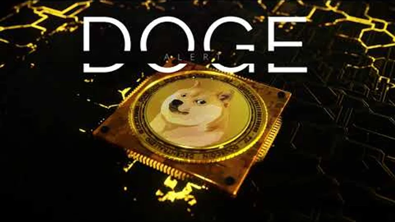 DOGE ALERT: SION® Browser Accepts DOGE video preview
